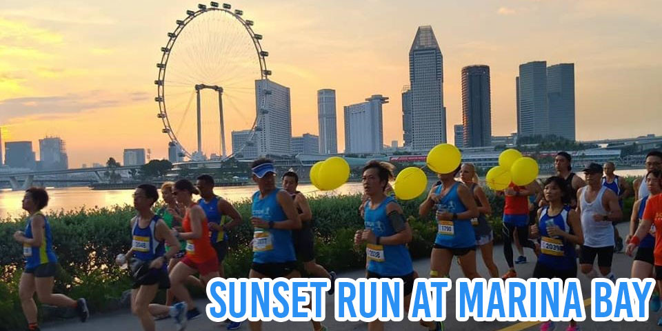 singapore marathon runs 2019