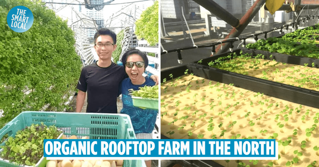 urban farms in singapore