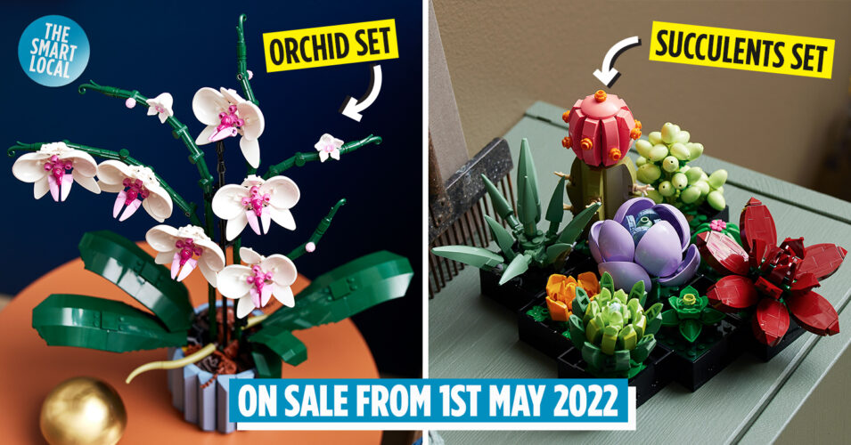 LEGO Botanical Collection Has New Succulents & Orchid Sets